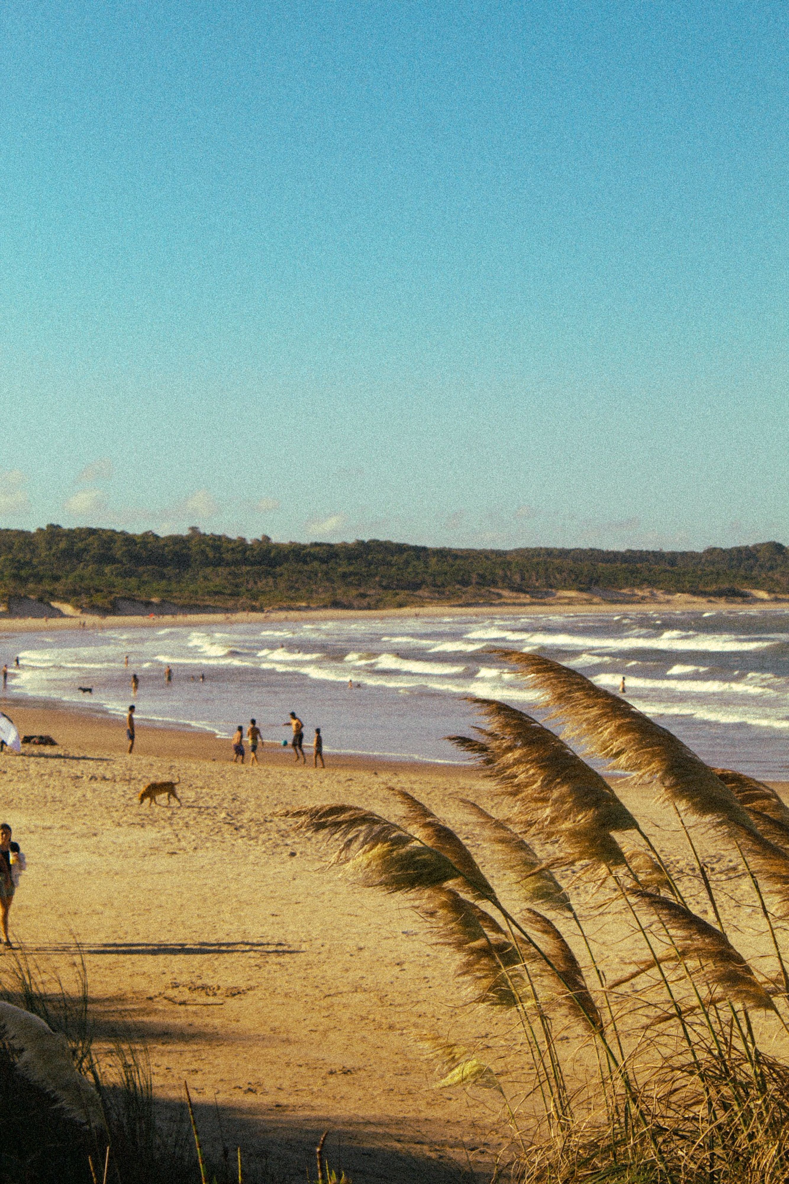 Villa Gesell 2027: Pre-Venta en Hotel Las Golondrinas 3* - Salida 22 de enero de 2027