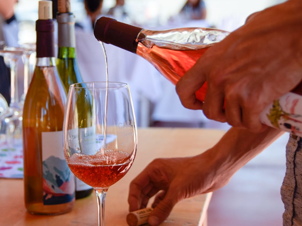 Ruta del Vino - imagen 5