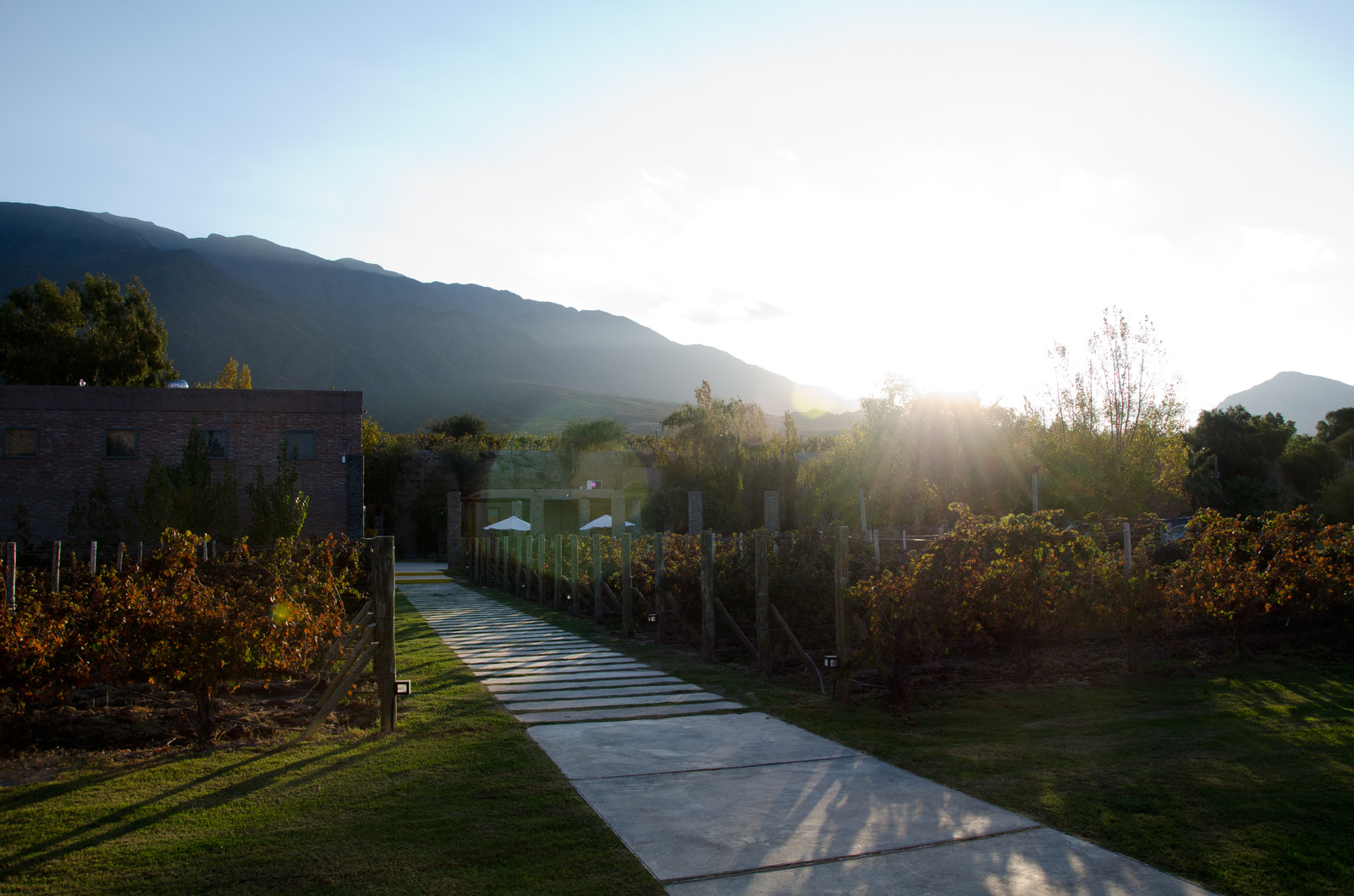 Ruta Interlagos + Bodega - imagen 4