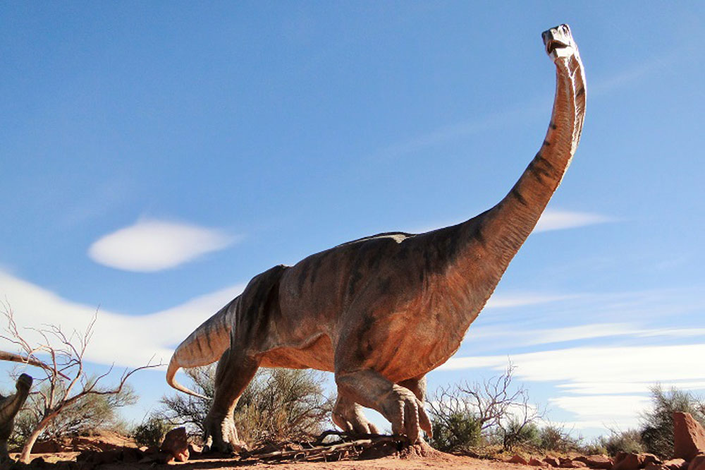 Parque nacional de Talampaya -  Circuito clasico - imagen 3