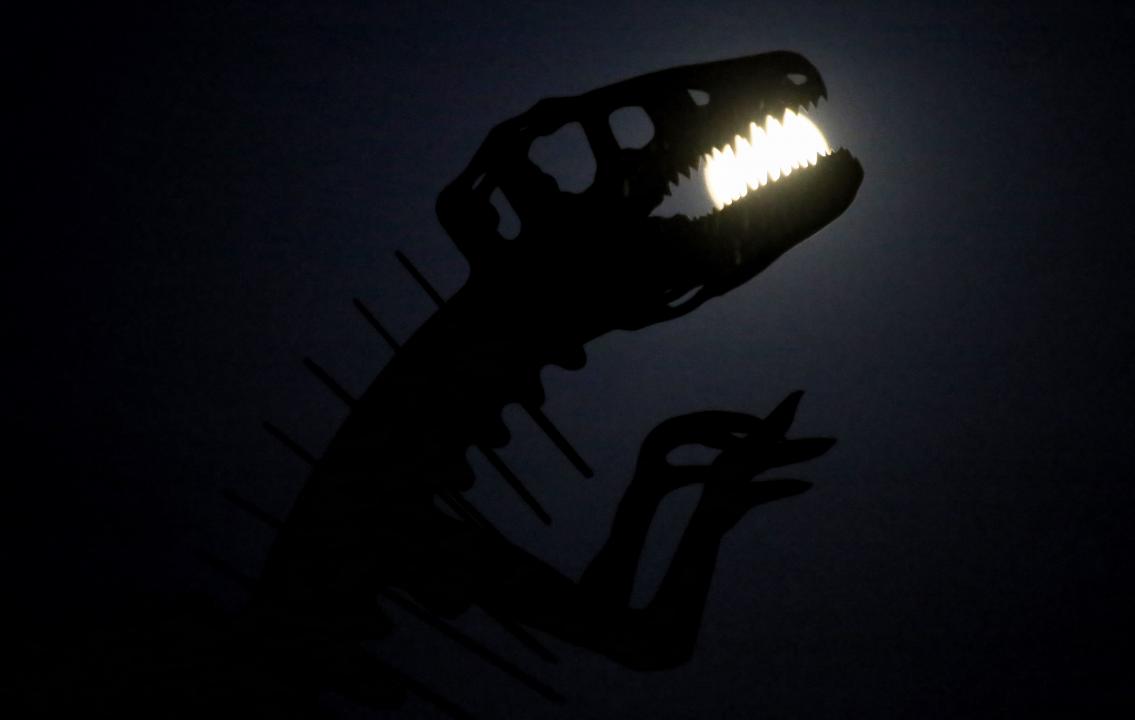 Parque provincial de Ischigualasto -  Circuito Nocturno - imagen 4