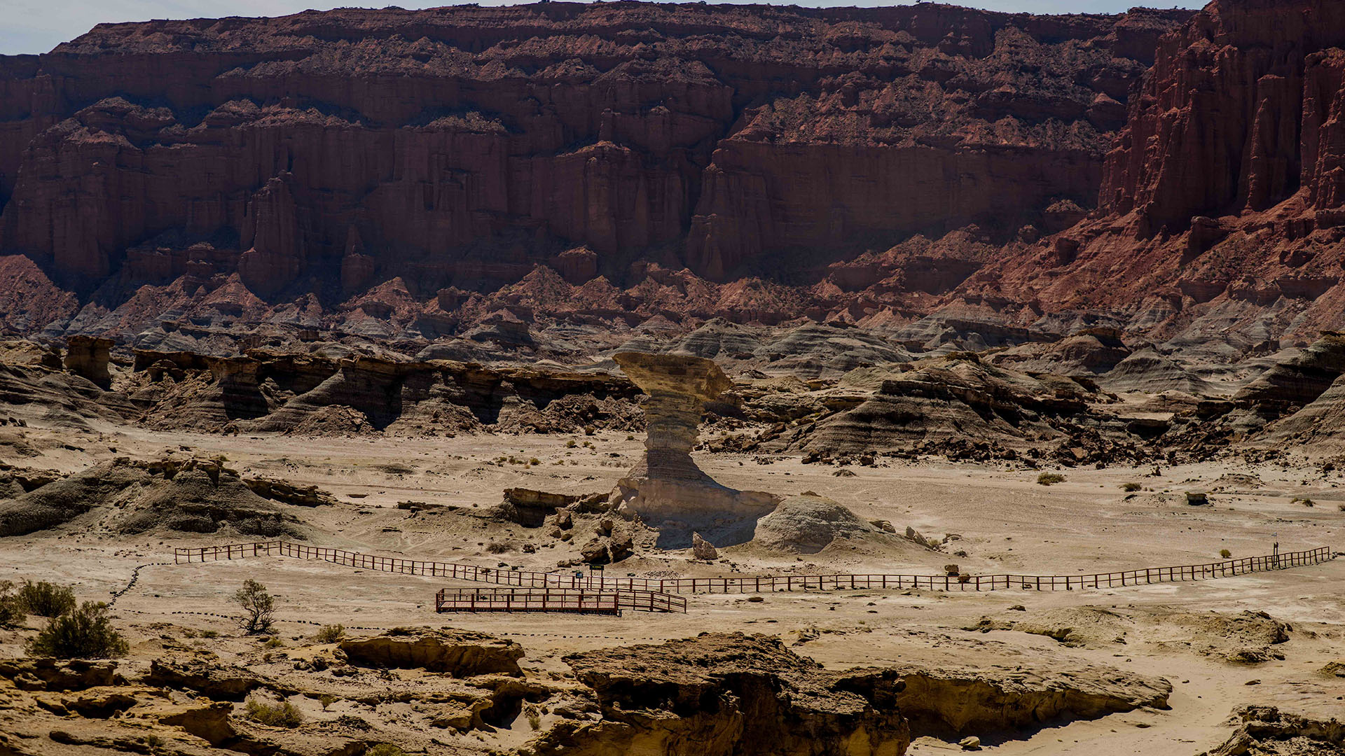 Parque provincial de Ischigualasto + Noche y Parque Nacional de Talampaya
