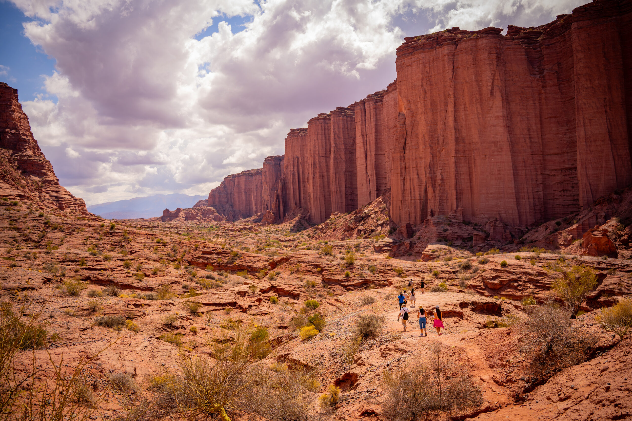 Parque provincial de Ischigualasto + Noche y Parque Nacional de Talampaya - imagen 3