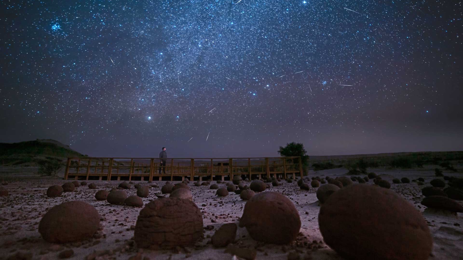 Parque provincial de Ischigualasto - Circuito diurno y nocturno - imagen 2