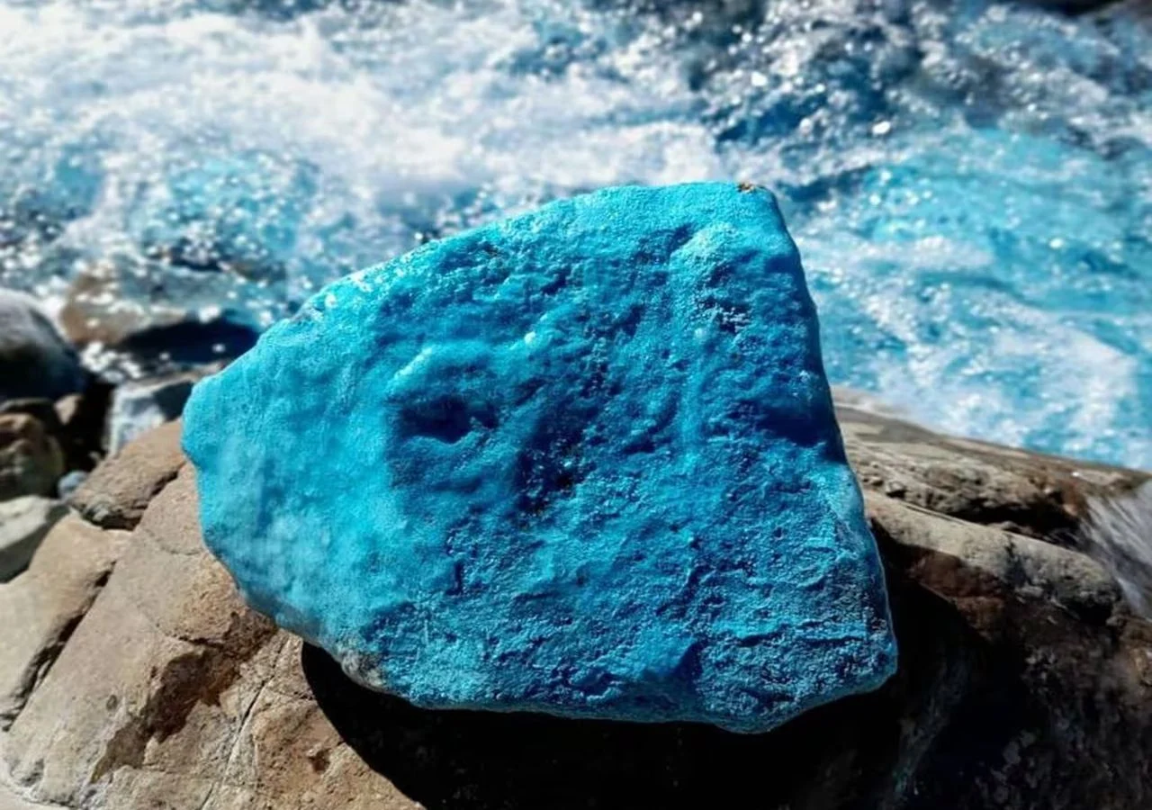 Barreal, Calingasta y Arroyo Turquesa + Noche c/media pensión